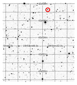 Aufnahme des Two Micron All Sky Survey im J-Band, Kepler-186 ist der Stern im roten Kreis