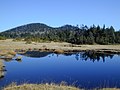 鬼怒沼の池塘より鬼怒沼山