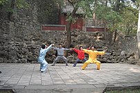 Martial arts is a popular pasttime in China. This photo of a Chen style Taijiquan class was taken at Fragrant Hills Park, Beijing, China.