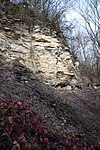 Schwarzjura-Aufschluss am Main-Prallhang bei Nedensdorf nahe Bad Staffelstein/Oberfranken