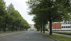 Niiralankatua kaupunginteatterin kohdalla, Niiralan kaupunginosa, Kuopio.