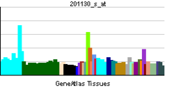 PBB GE CDH1 201130 s at tn.png