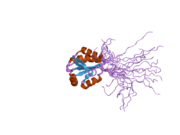 2diy: The solution structure of the thioredoxin domain of human Thioredoxin-like protein 2