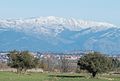 Pico de la Centenera nevado, en la Sierra del Lobosillo (Guadalajara).