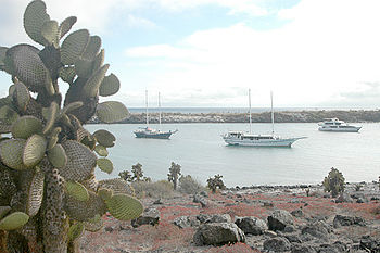 English: Plaza Island and cactus, Galapagos Is...