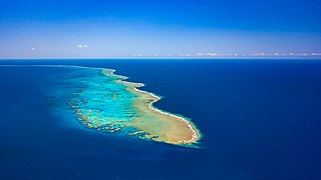 Récif corallien de Nouvelle-Calédonie.