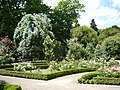 Miniatura para Rosaleda del Real jardín botánico de Madrid