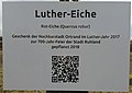 vor der zur 700-Jahr-Feier der Stadt Ruhland geschenkten Luther-Eiche 2021 angebrachtes Schild