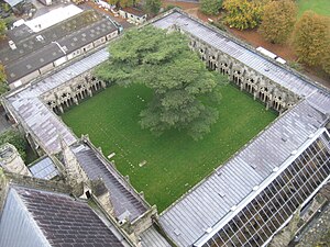 The cloister at Salisbury Cathedral, England Salisbury Cathedral, cloister, from top of tower.jpg