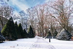 Slottsparken in winter