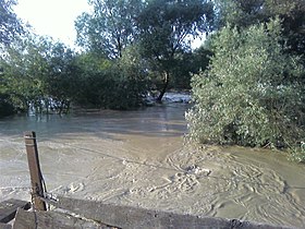 Sông Stryvihor khi lũ lụt tại làng Babyna, Ukraina
