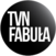 TVN Fabuła logo 2015