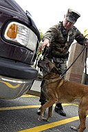 US Navy 040420-N-6477M-036 Master-at-Arms 2nd Class Rodney Ware and his partner Military Working Dog, Tessa, conduct random vehicle inspections