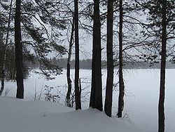 Talvinen näkymä järven länsirannalta koilliseen.