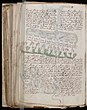 Une page du manuscrit mystérieux de Voynich.