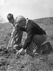 De même que mes pères ont planté pour moi, je planterai pour mes enfants – T.B. Taanit 23a.