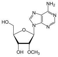 Strukturformel von 2′-O-Methyladenosin