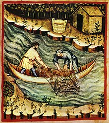 Fishing with nets, Tacuinum Sanitatis casanatensis (14th century) 36-pesca,Taccuino Sanitatis, Casanatense 4182..jpg