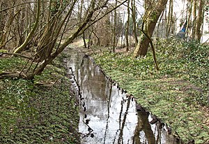 Der Bottbach in Odenkirchen