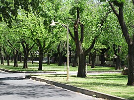 Alexandra Ave, Rose Park.JPG