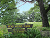 Vilas Circle Bear Effigy Mound and the Curtis Mounds