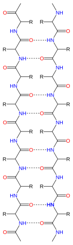 Feuillet β antiparallèle