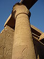 Column Kom Ombo1.JPG