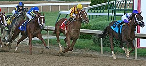 The best horses in a handicap race carry the largest weights, so the size of the handicap is a measure of the animal's quality. Curlin in the Final Turn in the 2008 Stephen Foster Handicap (2972085393).jpg