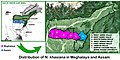 Карта распространения N. khasiana в Мегхалае и Ассаме.jpg
