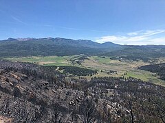 East Canyon Fire's burn scar on the north flank on June 21, 2020