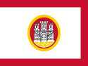 Vlag van Bergen