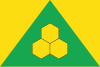 Flag of Peremyshliany Raion