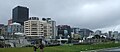 Wellington skyline from Te Papa on a foggy (but not cold) day