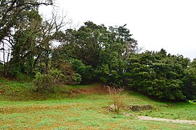 野津古墳群