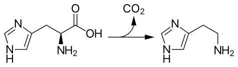 L-histidine  '"`UNIQ--postMath-00000001-QINU`"'  CO2 + histamine.