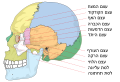 תמונה ממוזערת לגרסה מ־22:27, 21 בינואר 2008