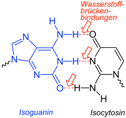 Isoguanin-Isocytosin-Basenpaarung