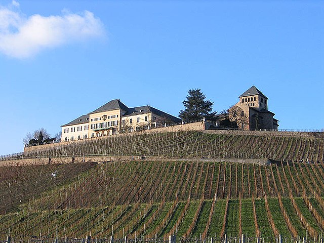 Schloss Johannisberg mit seinem Weinberg