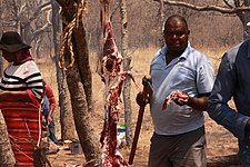 Kalanga_man_axing_goat_meat_at_the_Domboshaba_cultural_festival_2017