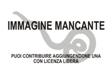 Immagine di Nematonereis unicornis mancante