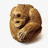 Coconut carved to look like a monkey