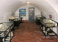 Geologie im Keller, Fossilien, Mineralien