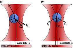 250px-Optical_Trap_Ray_Optics_Explanation.jpg