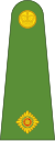 PNGDF Land OF-01a.svg