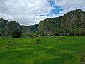 Lanskap persawahan dan pegunungan karst di Dusun Pajjaiyang