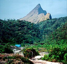 Pico da Neblina (uden dens typiske dis).