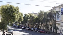 Une rue bordée d'arbres.