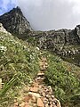 Aufstieg zum Tafelberg.