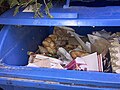 Příklad špatné recyklace papíru - někdo naházel do modrého kontejneru na starý papír staré pečivo