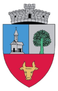 Wappen von Sălciua